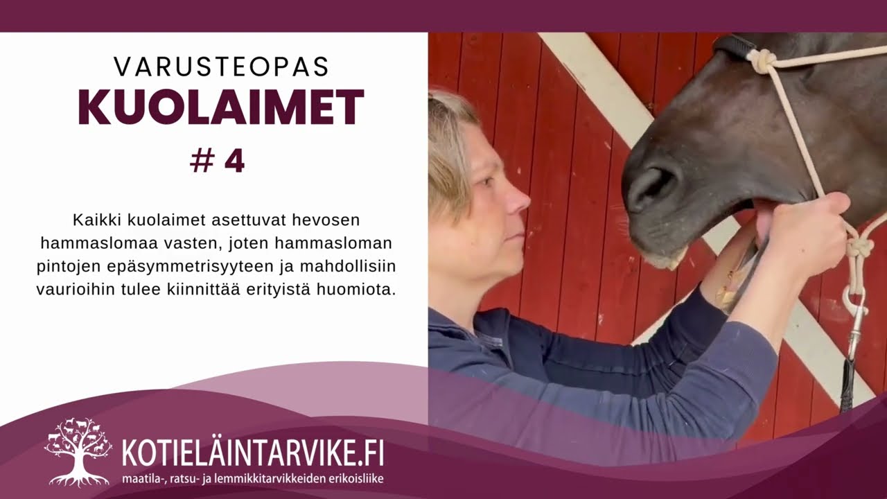 Varusteopas - Kuolaimet #4