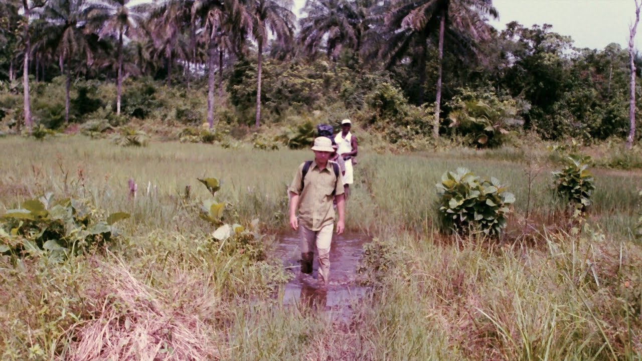 Sierra Leone in 2003 - Episode 5/5 - Tikonko & Bo / End