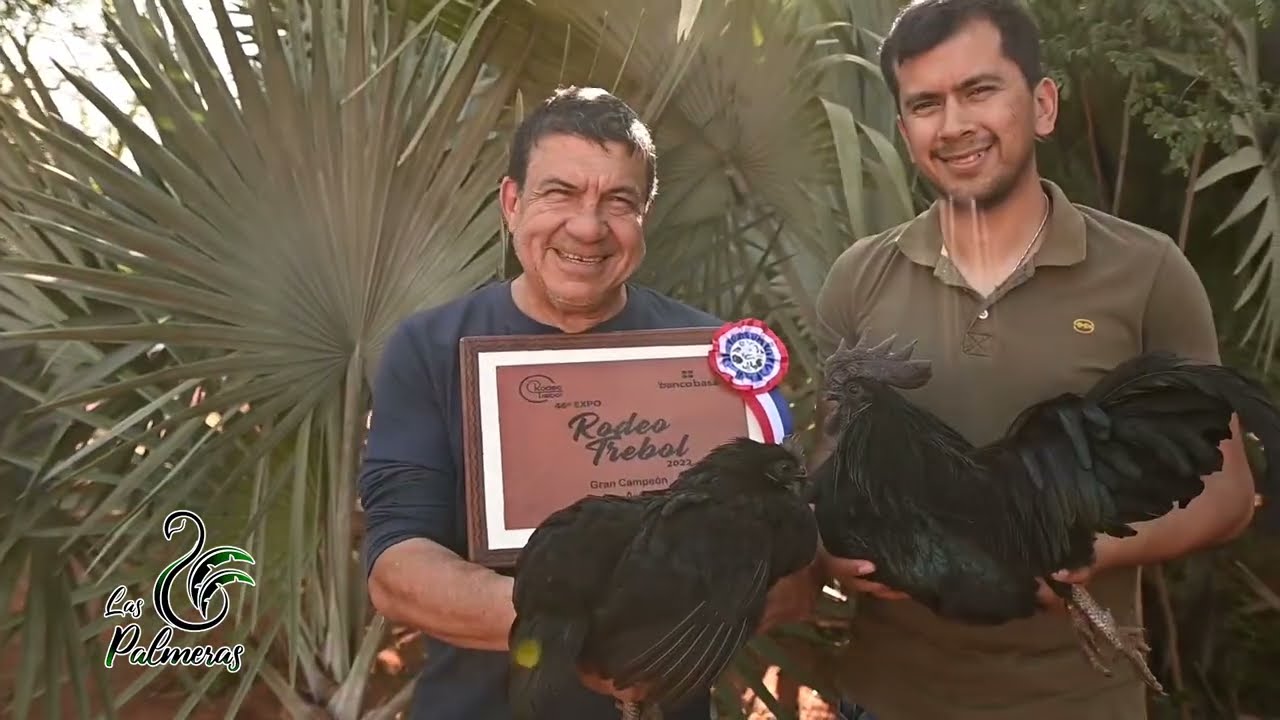Granja de aves ornamentales Las Palmeras