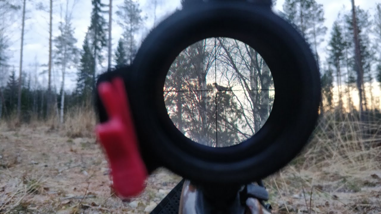 BWH: Toinen askel mets&auml;kanalintujen luvattuun maahan!