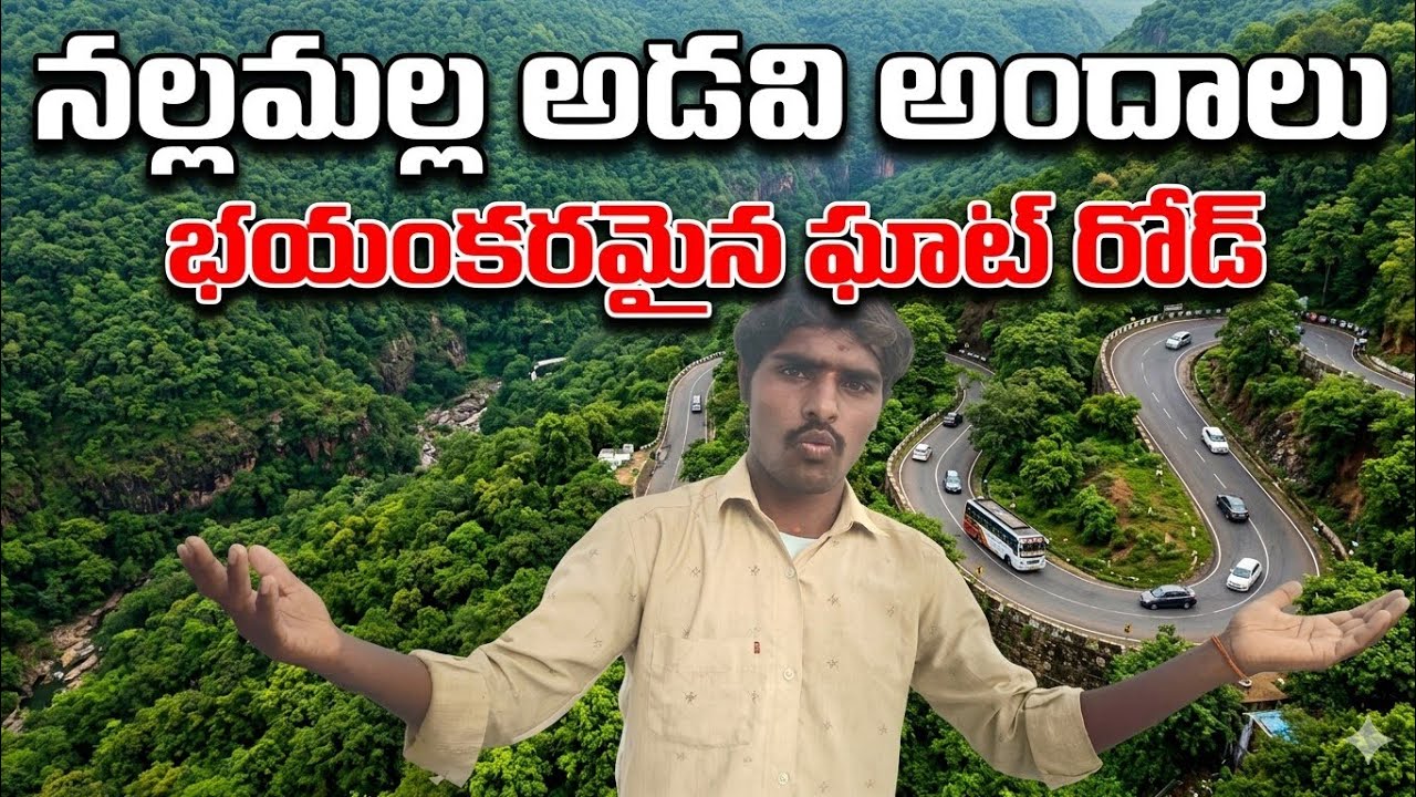 Nallamala Forest Dangerous Curves Road | Srisailam Route | Telugu Travel Vlog | RL Hello World