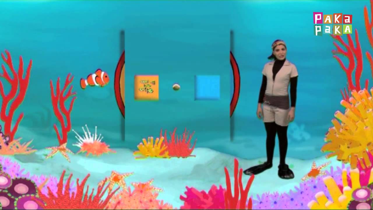 Animapaka I: Pez Payaso (Cap. 15) - Canal Pakapaka