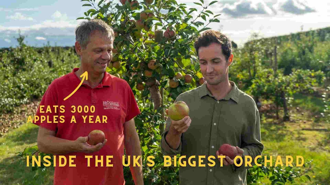 3 Secrets to Choosing the Perfect Apple Tree (from an Apple Genius)