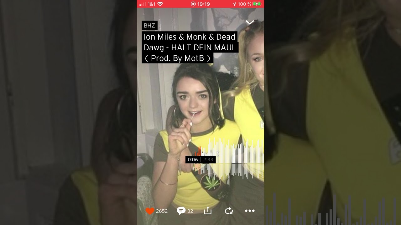 Dead Dawg & Monk & Ion Miles - HALT DEIN MAUL