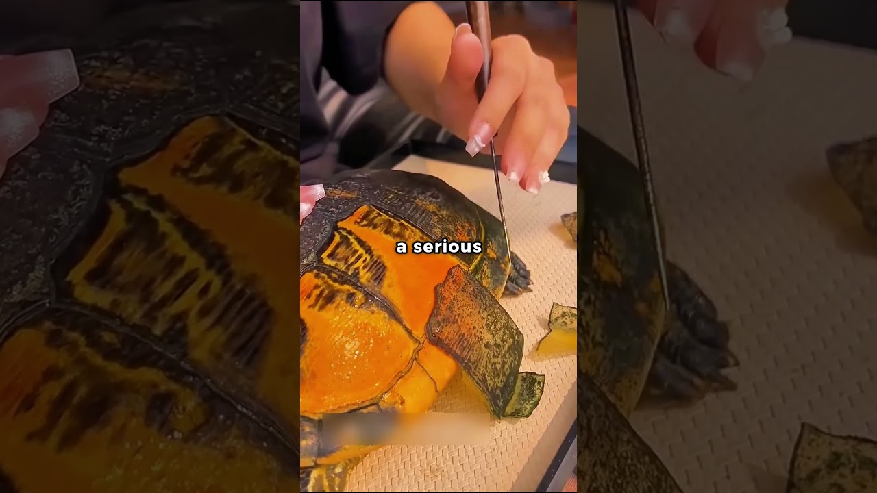 Turtle Peeling? 😮😯