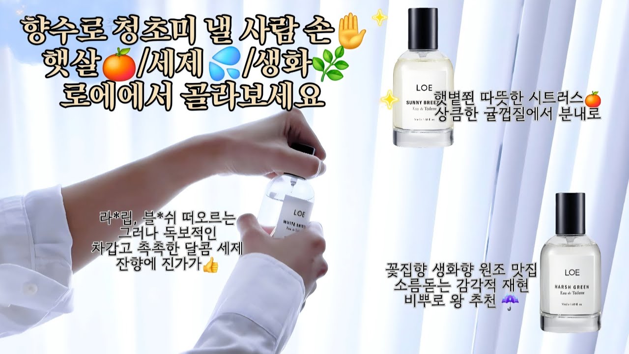 은은하고 청초한 향수 찾는다면 이 3개✨ 로에 써니브리즈·화이트셔츠·하쉬그린 시향기