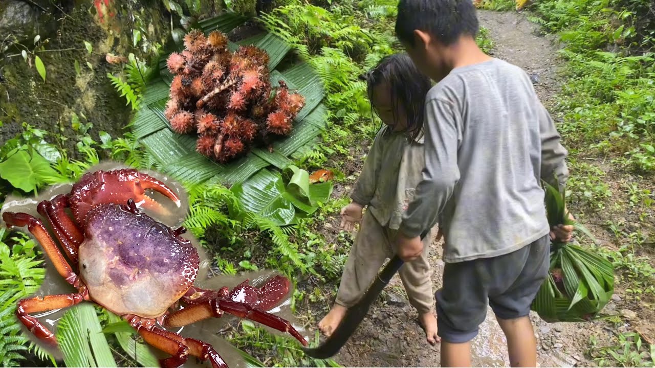 The older brother took his younger sister into the forest to find food and pick wild fruits to sell