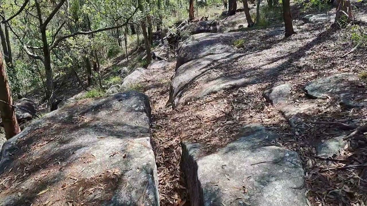 Thoughts on NEETbux type lifestyles