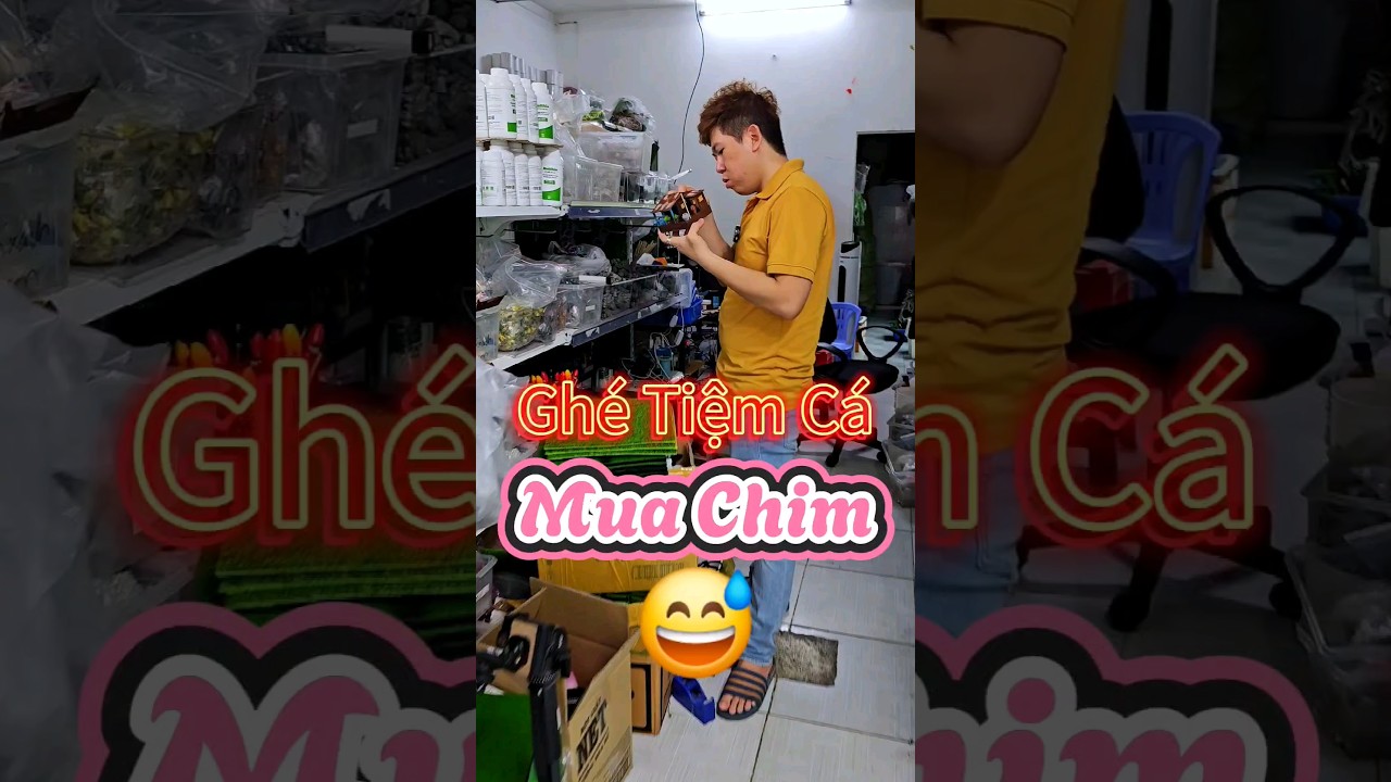 Lộn tiệm rồi e ơi, anh bán cá chứ không bán chim 😂