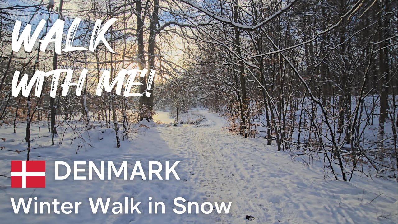 Winter Walk in Snow in BALLERUP