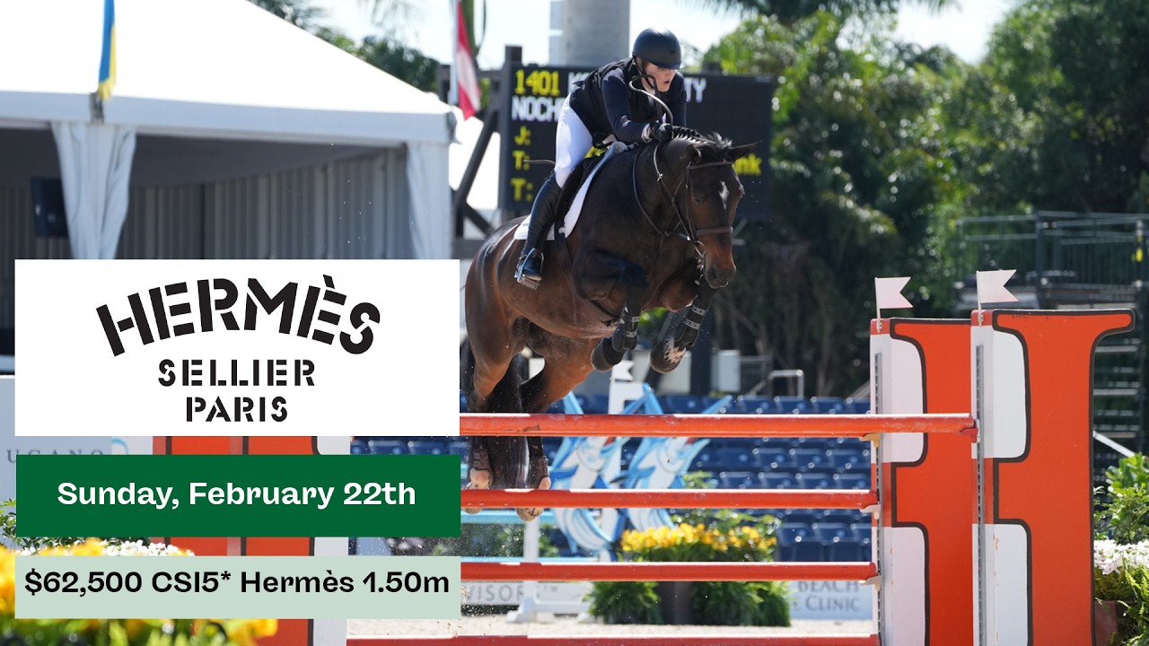Watch the $62,500 Hermès 1.50m CSI5*