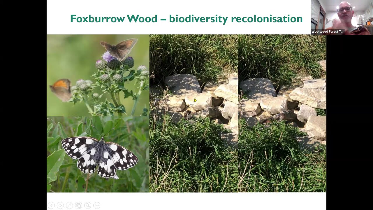 Natural Regeneration: Case studies from the Wychwood Forest Trust