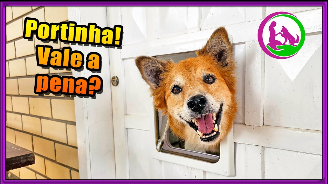 Portinha pet para cachorro e gato! TUDO que você precisa saber!