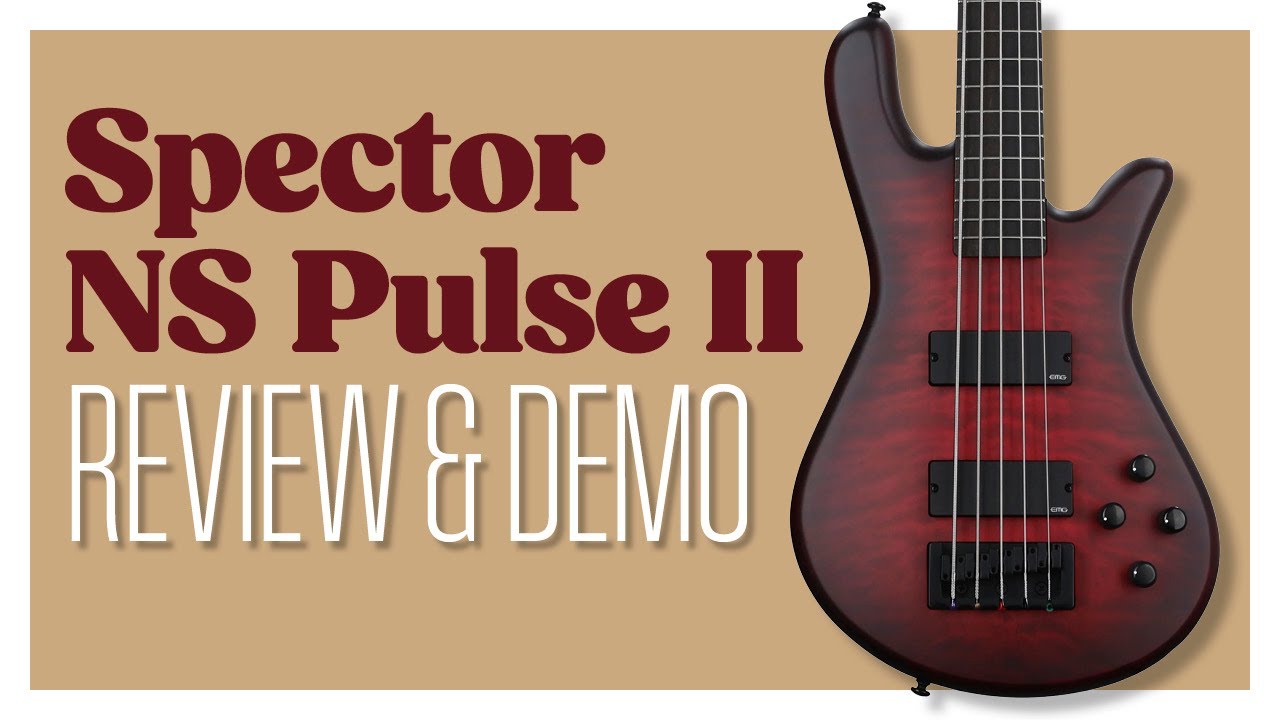 The Spector NS Pulse II 5 string bass is a TONE MONSTER!