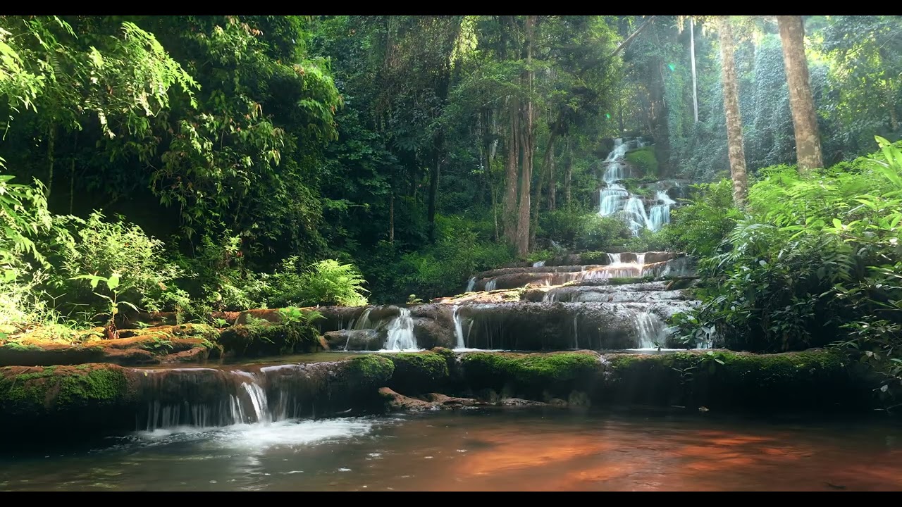 Eliminate All Negative Energy | 2 Hours of Sound Healing for the Entire Body | Happiness