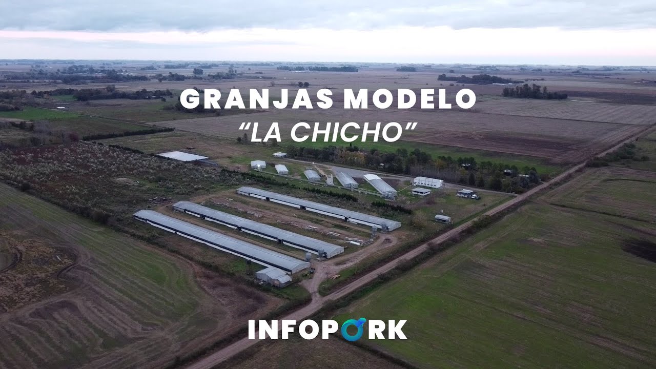 Granjas Modelo: La Chicho