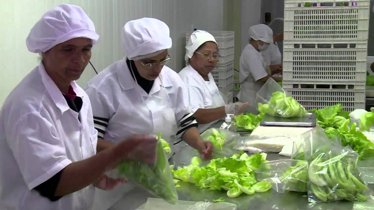 Comunidade Hortifrúti - Hortaliças prontas para consumo e hortaliças embaladas - Bloco 1