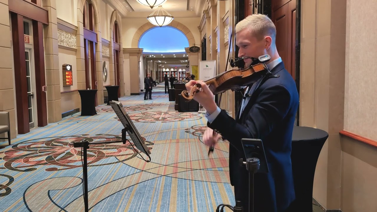Jamiroquai - Virtual Insanity (Violin Cover)
