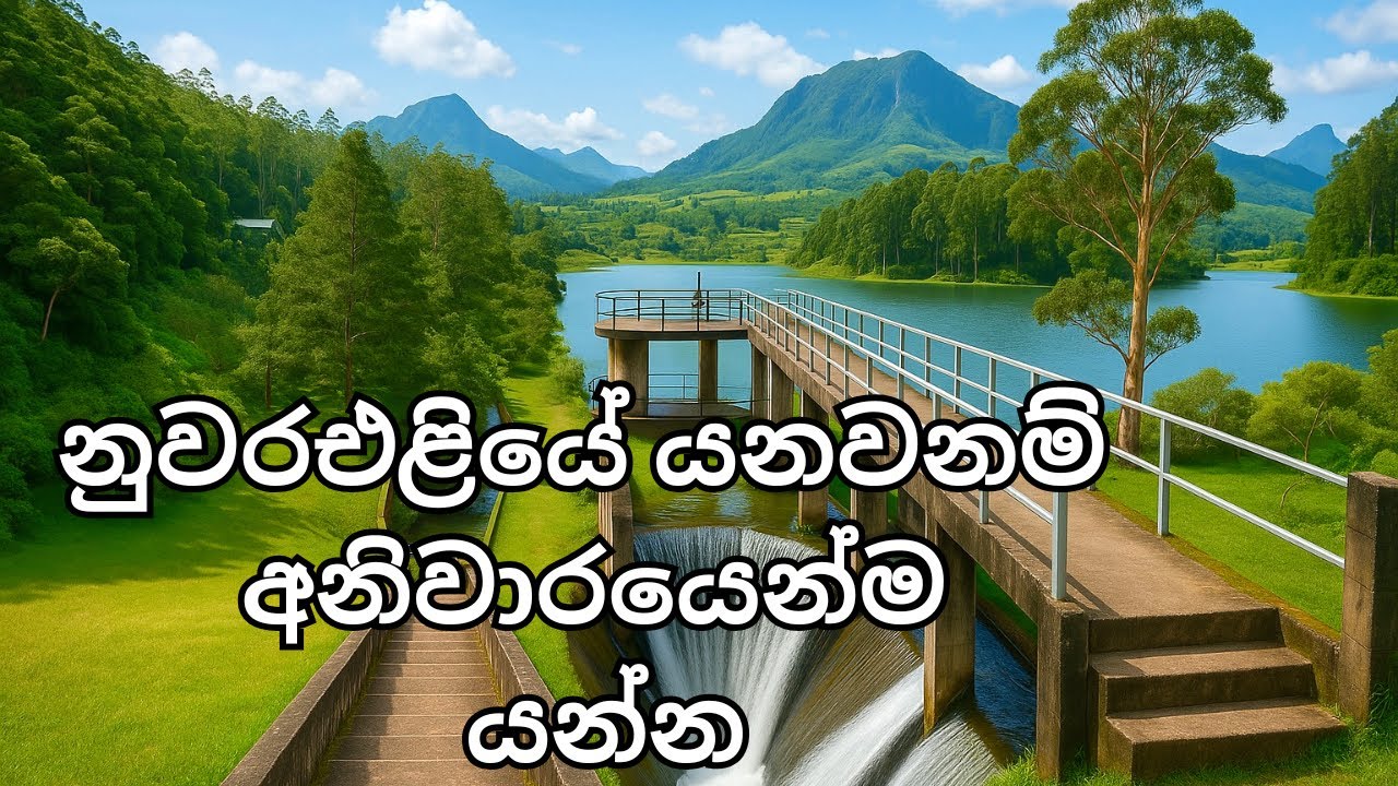 බෝමුරු ඇල්ල පටන්ගන්න තැන / බෝමුරු ජලාශය / Bomuru reservoir Nuwaraeliya / bike ride to bomuru