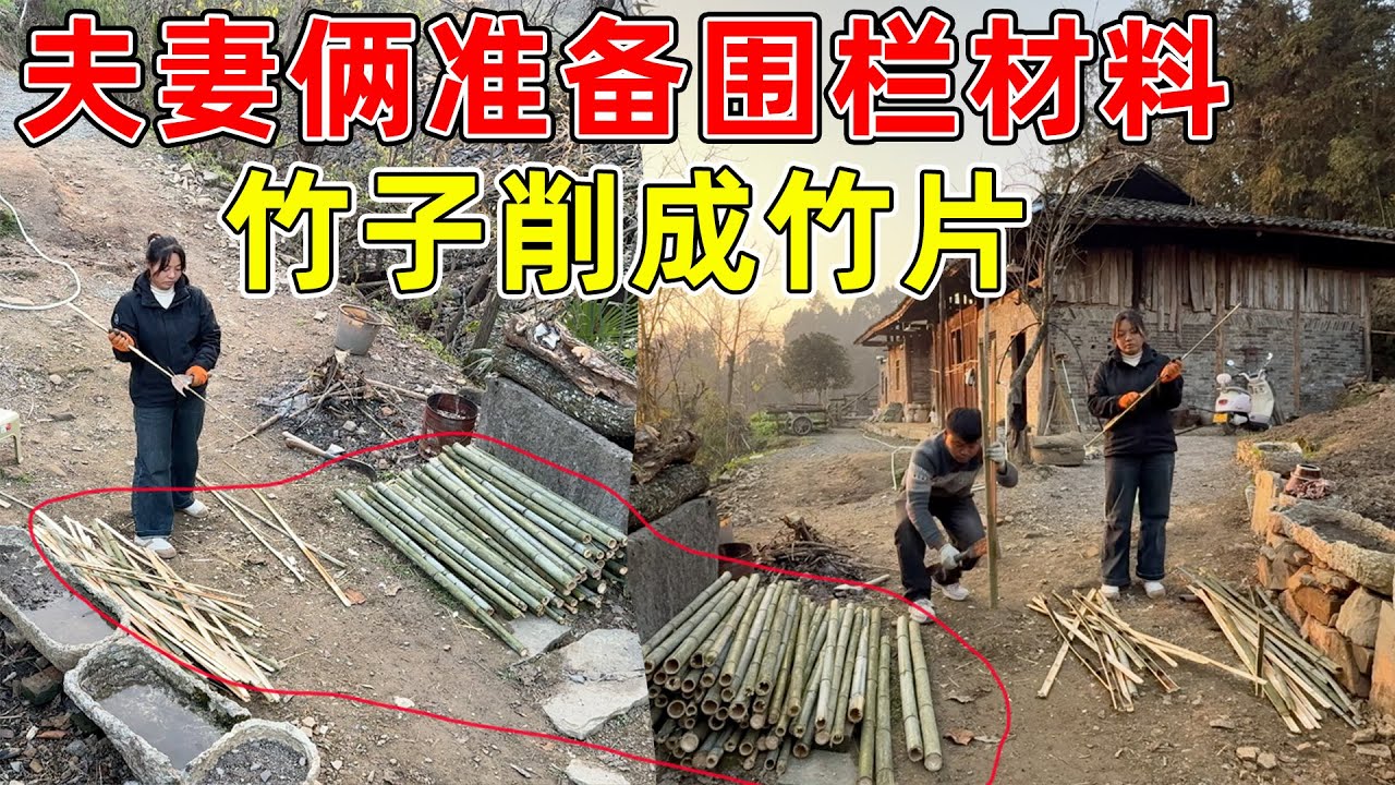 夫妻俩准备做围栏的材料, 把所有的竹子削成竹片  直接多了两三倍, 希望不要二次运材料