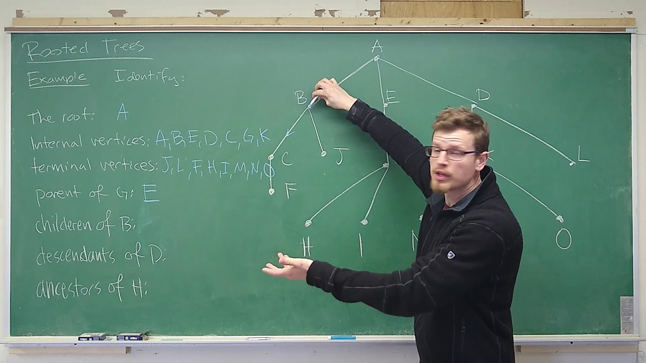 Rooted Trees - Example of Terminology