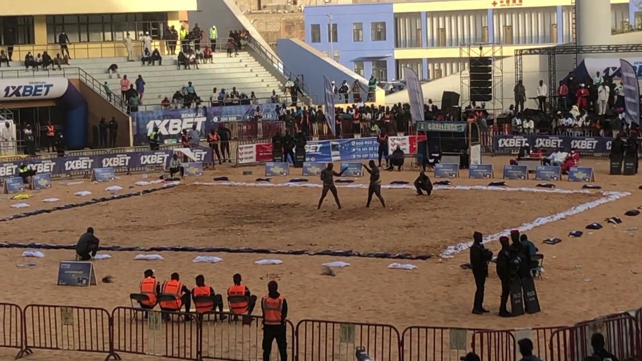 Intégralité combat Anaconda vs Domou Dangou
