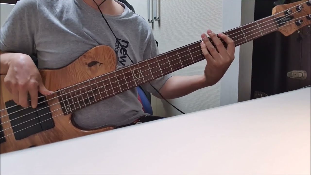 Shakira - Whenever, Wherever (bass cover)