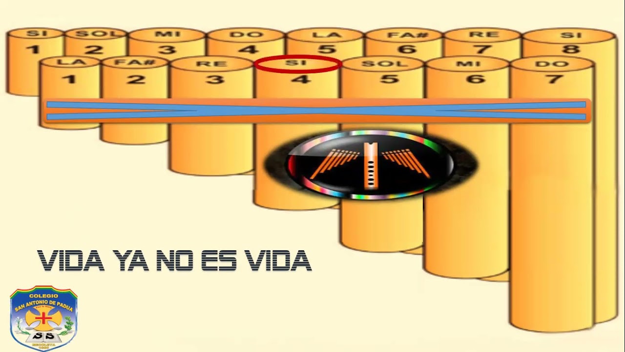 VIDA YA NO ES VIDA