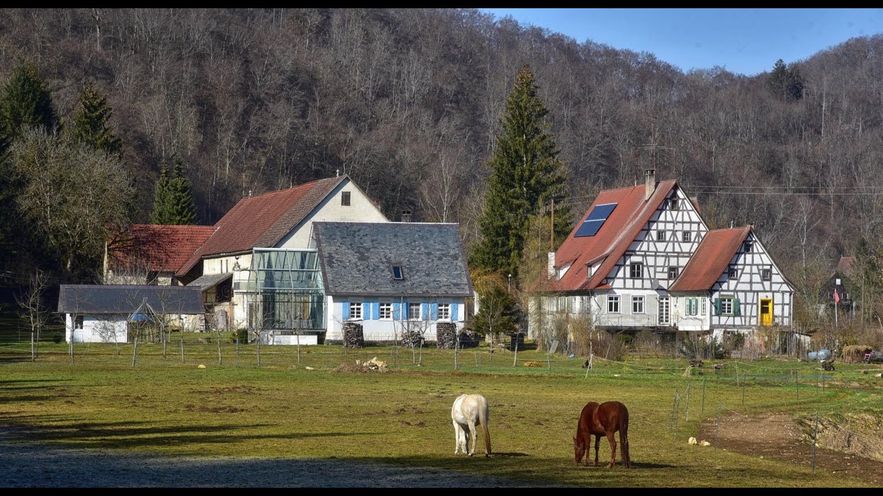 Im kleinen Lautetal bei Blaustein - Märzenbecher und Prachtbecherlinge im März 2021
