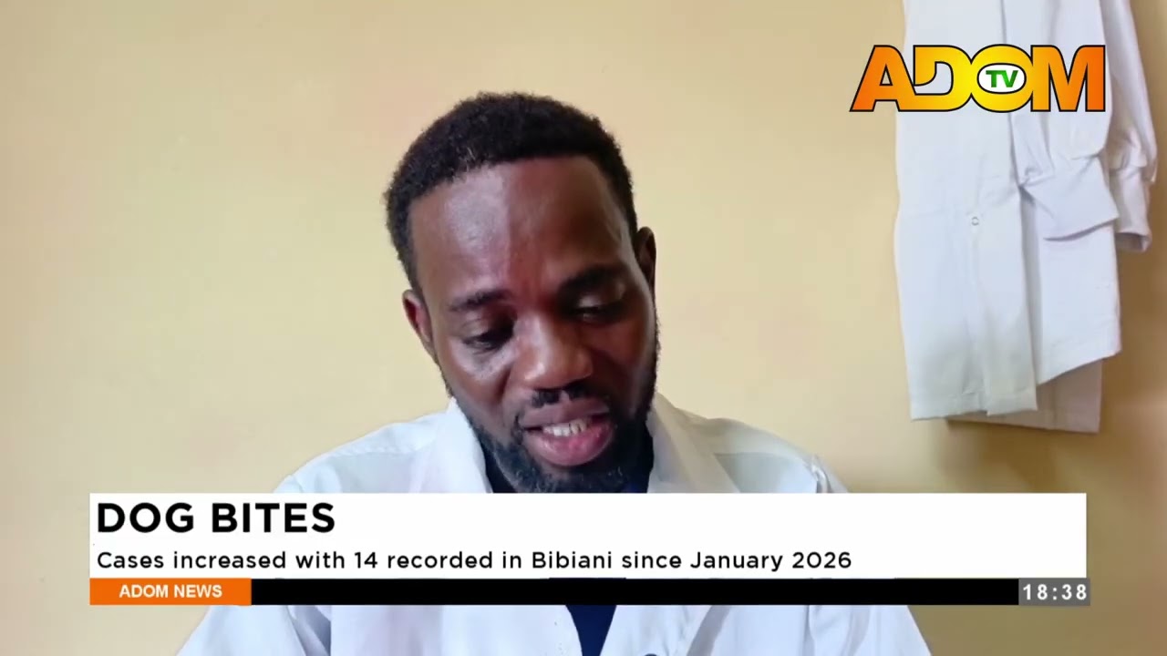 Dog Bites: Cases increased with 14 recorded in Bibiani since January 2026 - Evening News on Adom TV.