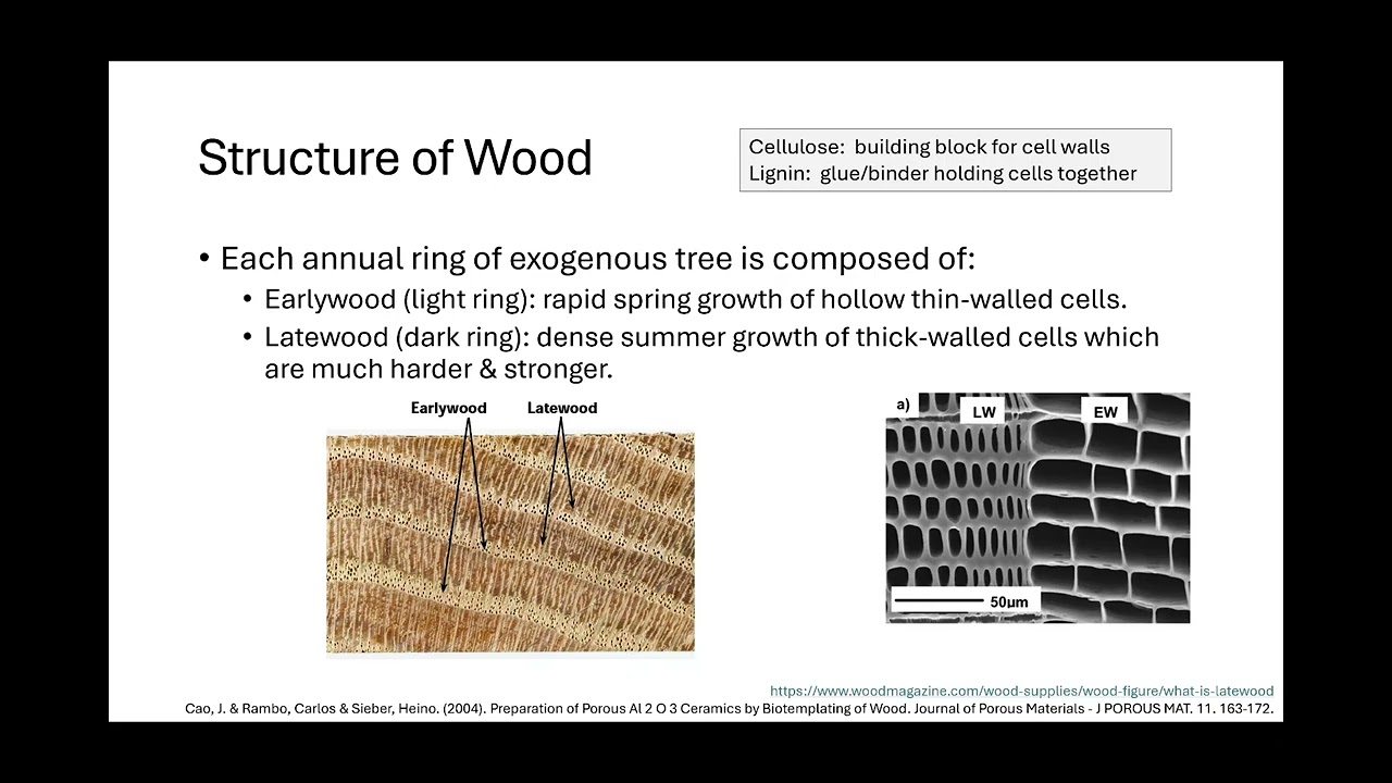 CE 417 Lecture 02:  Basics of Wood Science, Properties of Interest, NDS Specifications (2026.01.14)