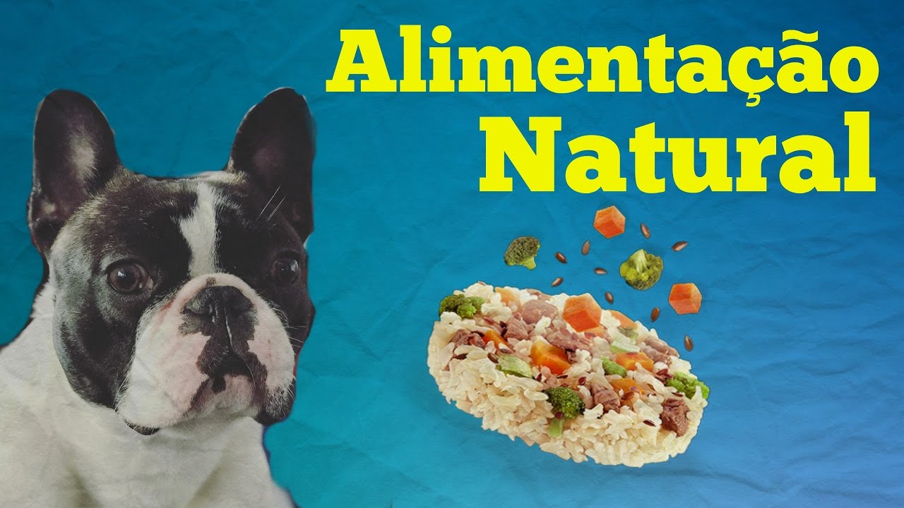Alimentação natural para Pet/Cães