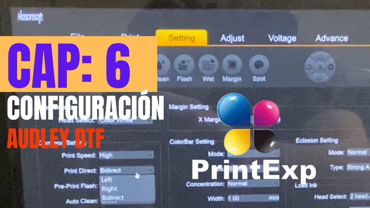 Cap 6 | Como configuro PrintExp Hosonsoft | Audley DTF