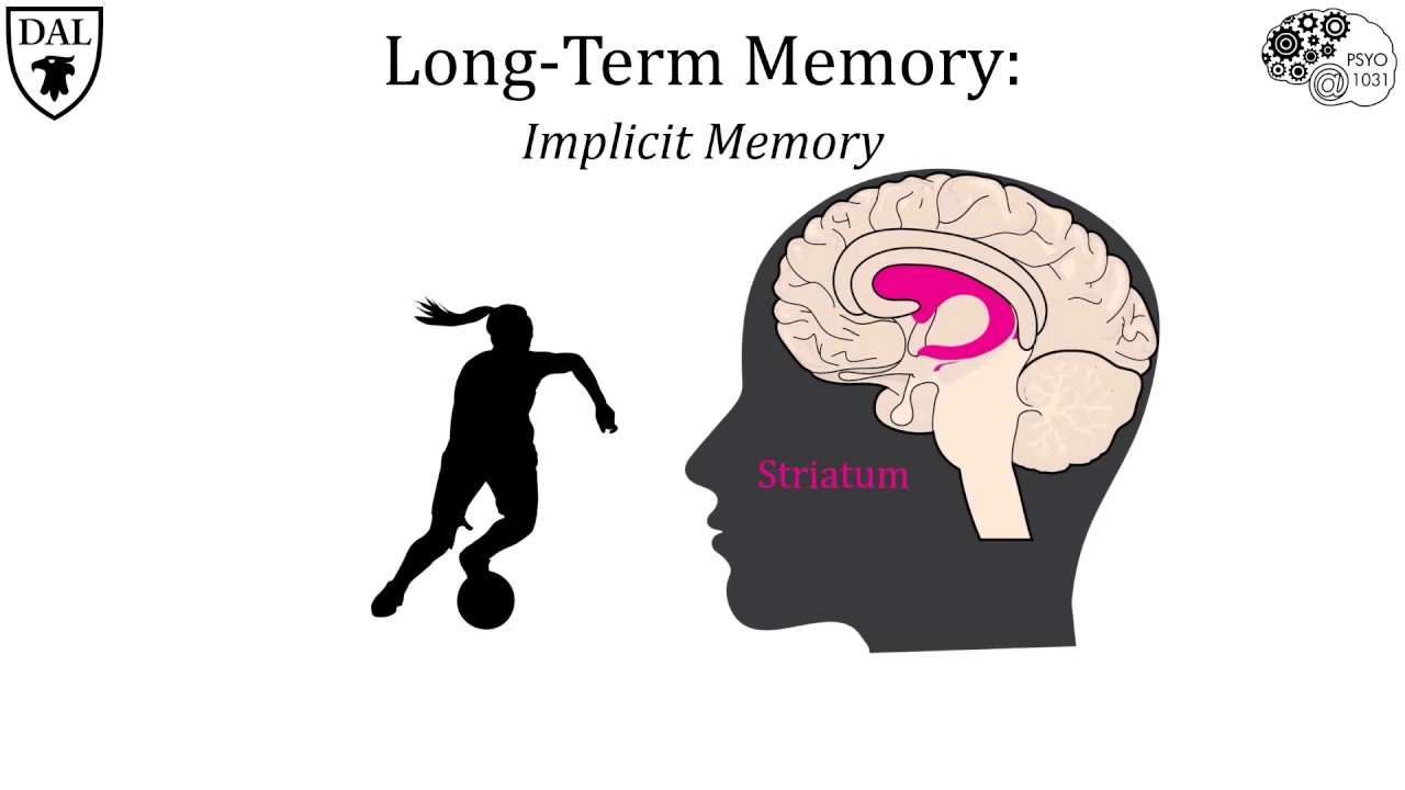 Tricky Topics: Biological Basis of Memory