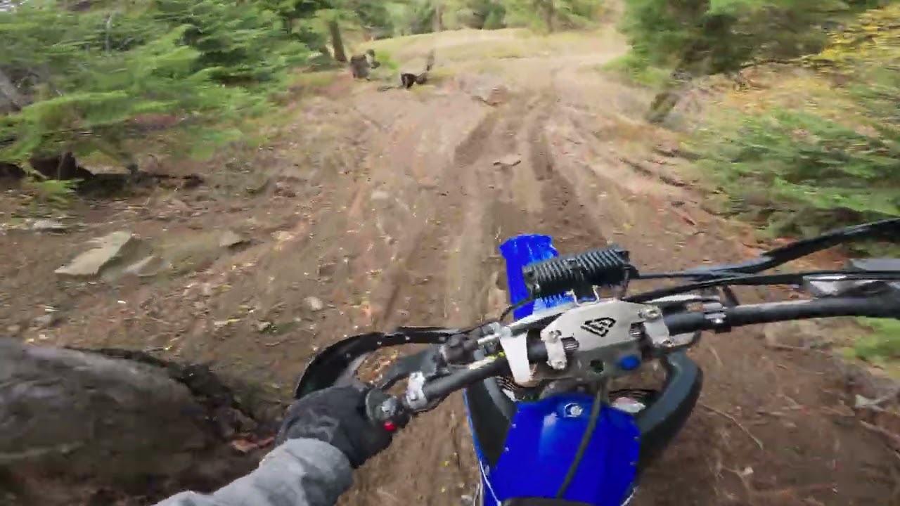 Late-Season Singletrack in Washington State, Part 2