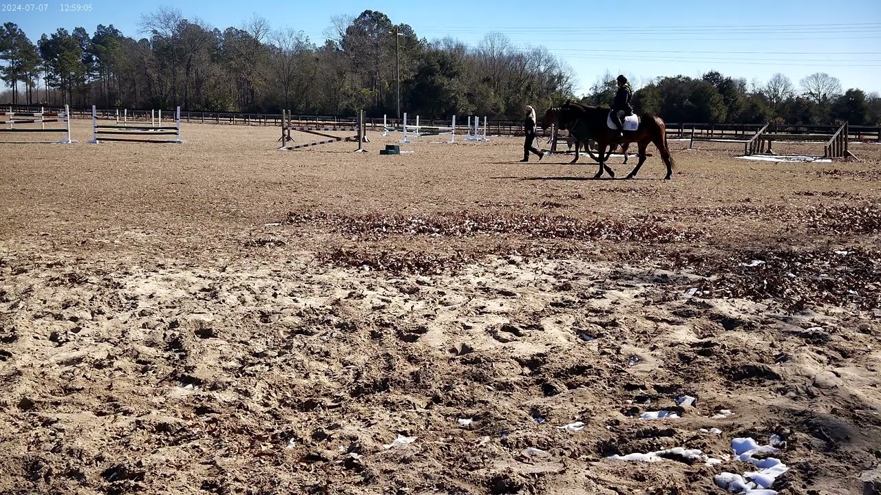pippa 020226REC 0003 A