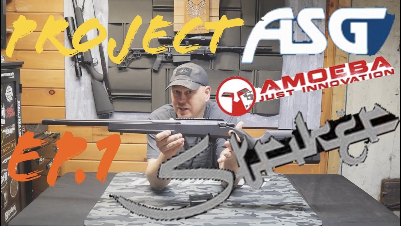 PROJECT ARES AMOEBA STRIKER