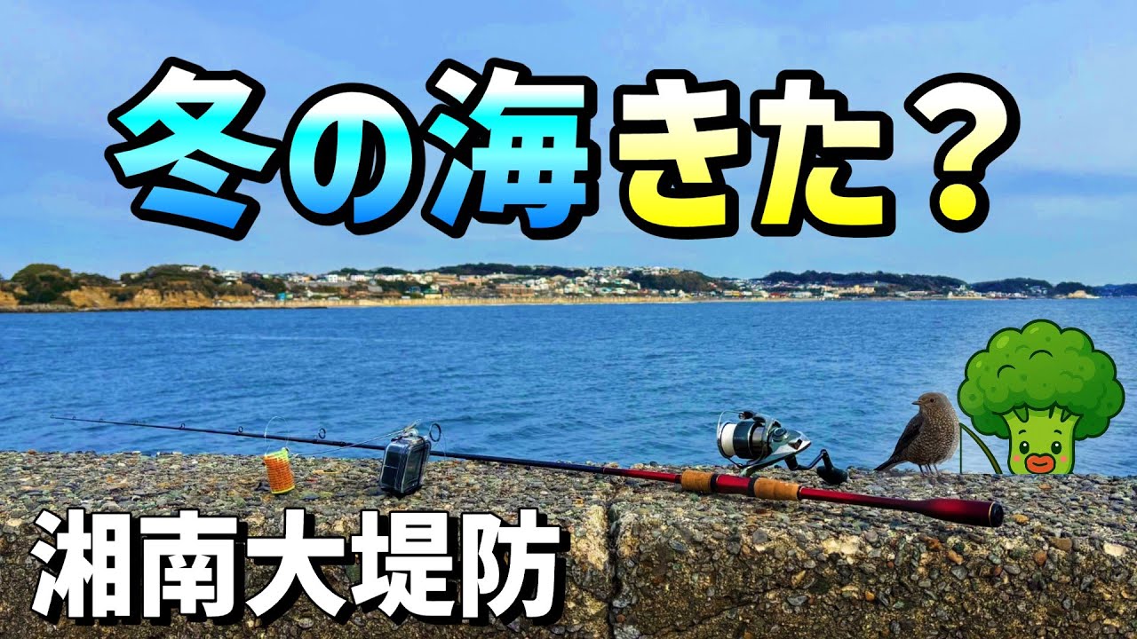 【水中映像】江ノ島！冬の海になってきた？
