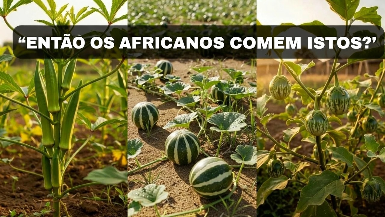 7 Legumes Secretos que os Africanos Cultivavam Há 500 Anos (Mais Fortes que Culturas Modernas)