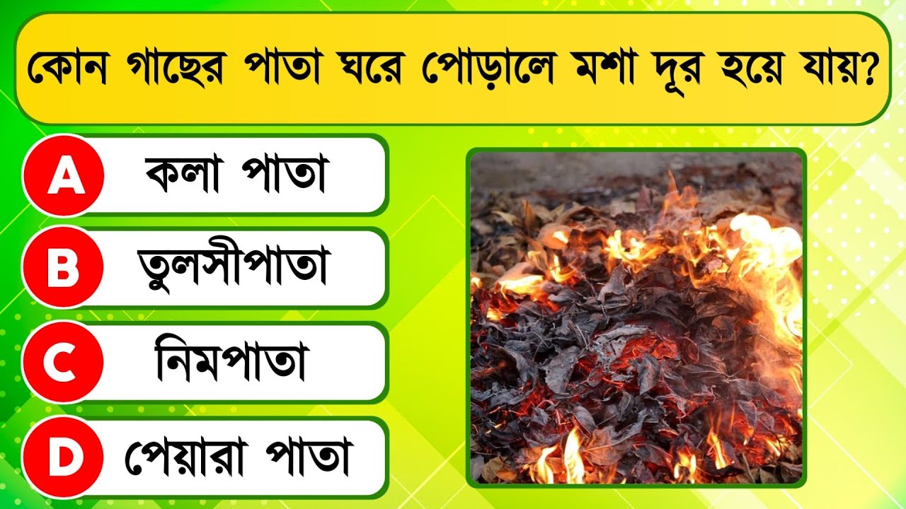 কোন গাছের পাতা ঘরে পোড়ালে মশা দূর হয়ে যায়? | General knowledge quiz | Quiz Shikhi | Gk