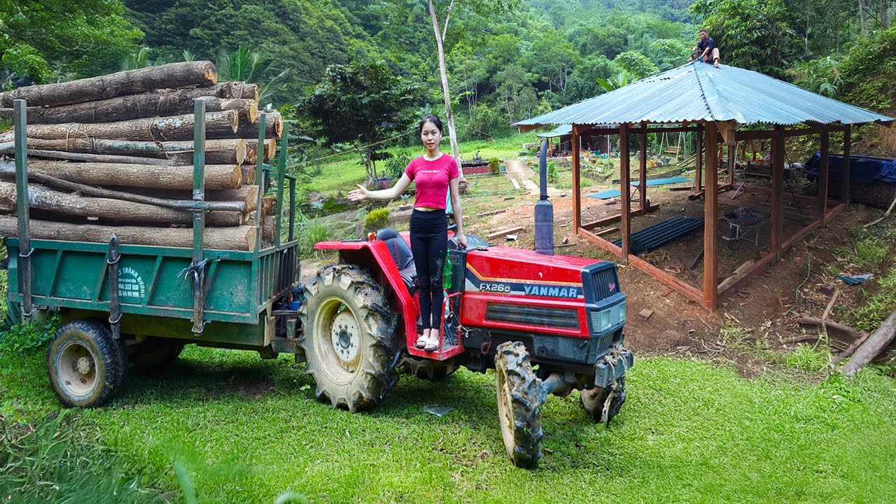 Full Journey: Building a New Wooden House in the Forest & Transferring Fish to a New Pond