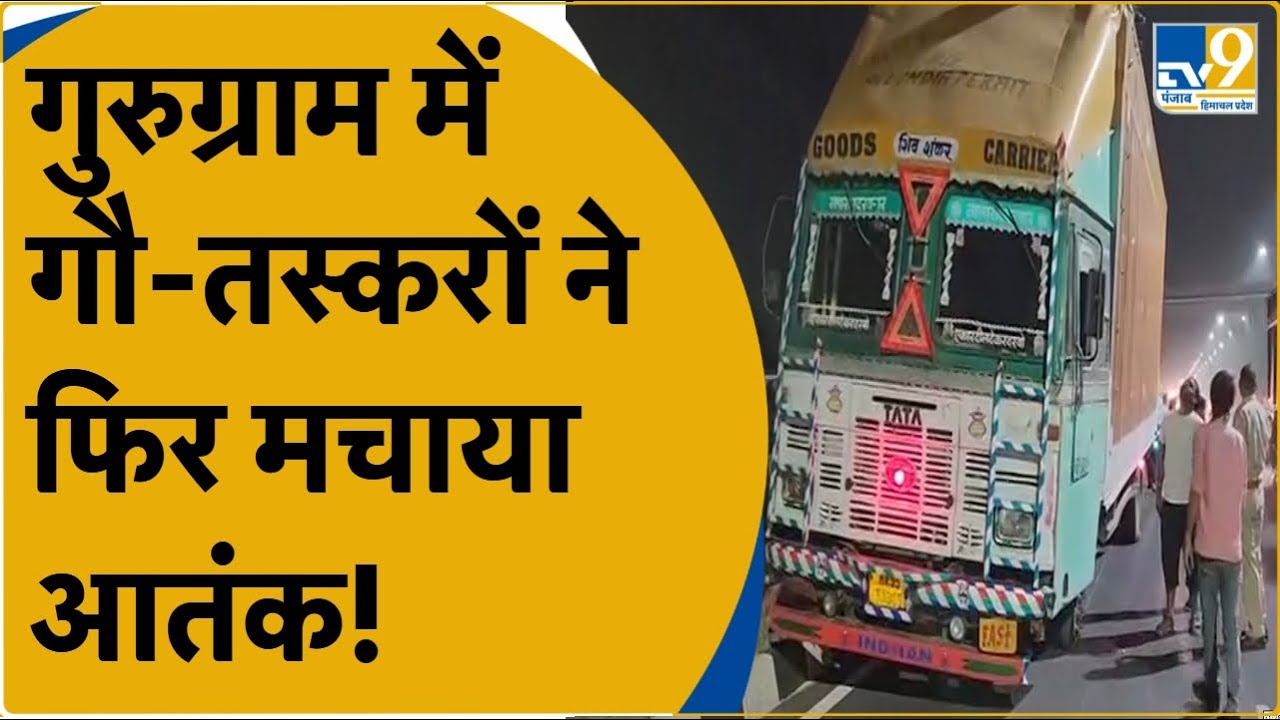 Gurugram के Delhi-Mumbai एक्सप्रेसवे के पास गौ तस्करी का ताजा मामला आया सामने देखिए इस रिपोर्ट में