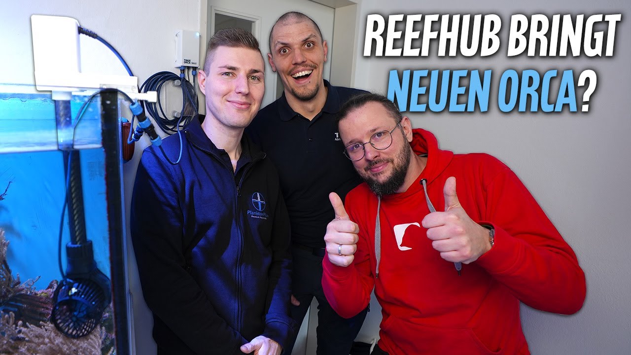 ReefHub bringt den Orca auf ein NEUES LEVEL?! - PlanktonPlus Aquaristik