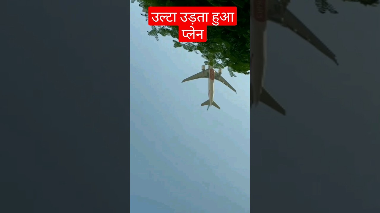 ulta udta hua प्लेन #flight #ddnrst #music #shortsfeed