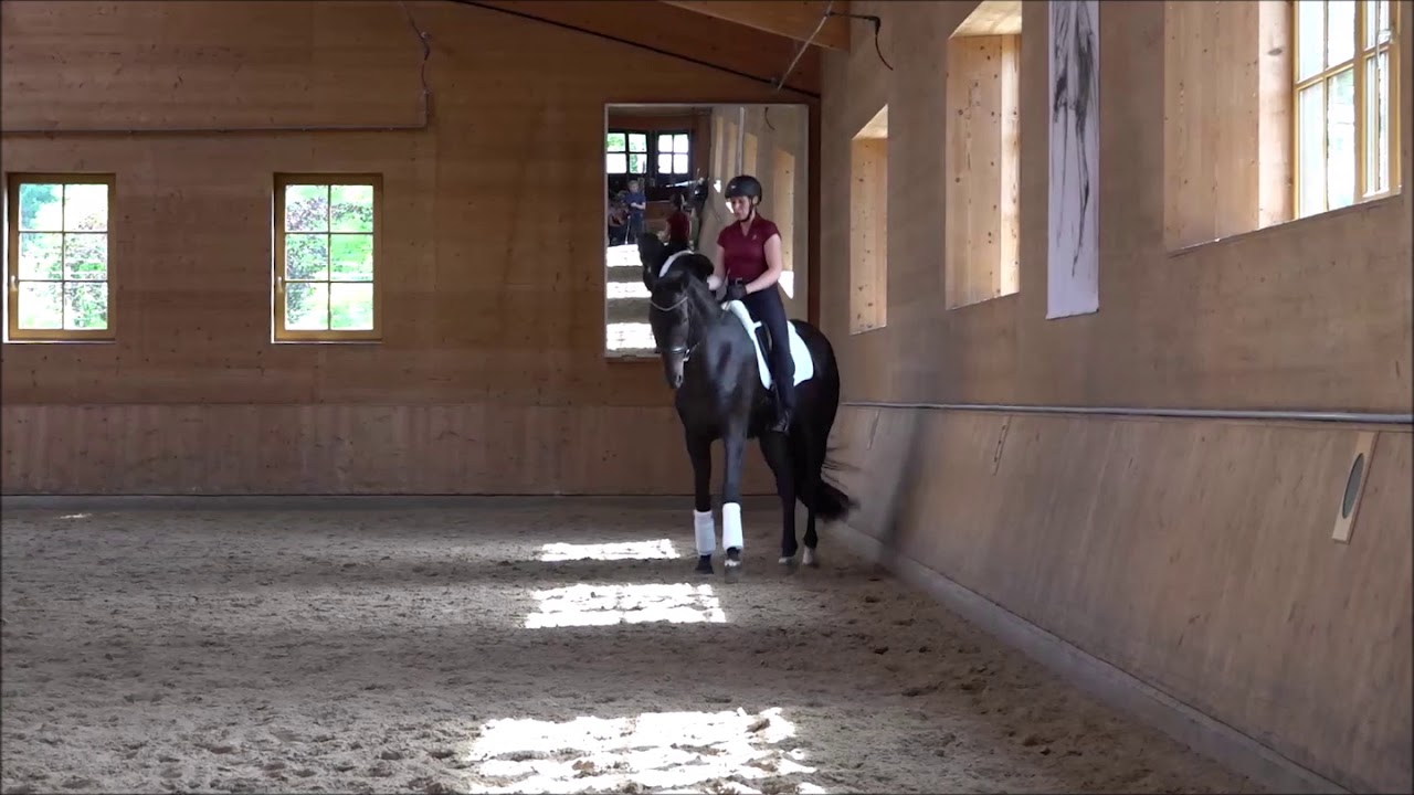 Romy beim Anja Beran-Workshop 2019