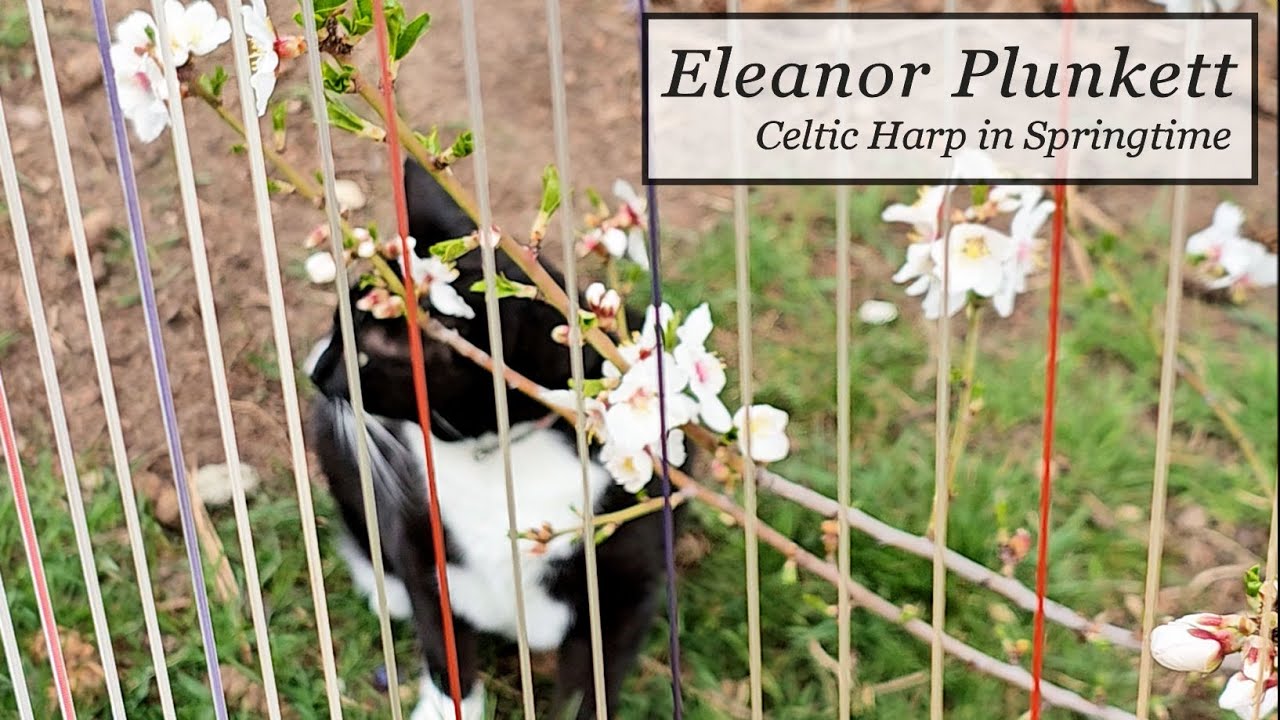 Eleanor Plunkett - Irish Harp in Springtime