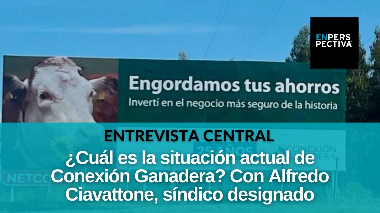 Conexión Ganadera: ¿Qué pasó desde que se decretó el concurso? ¿Qué rol cumple el síndico designado?