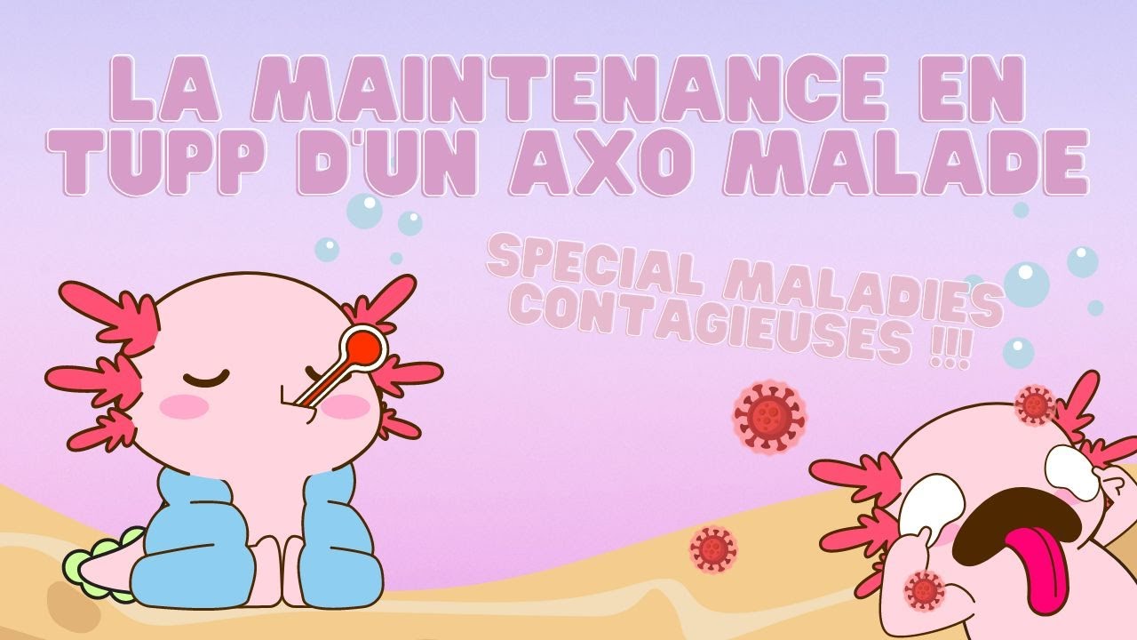 LA MAINTENANCE EN TUPP D'UN AXO MALADE : Spécial maladies contagieuses !!! Désinfection +++