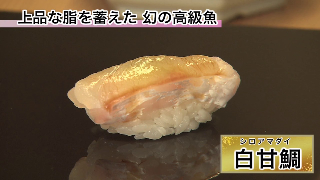 「最高に旨い寿司」田可尾 白甘鯛_Sushi