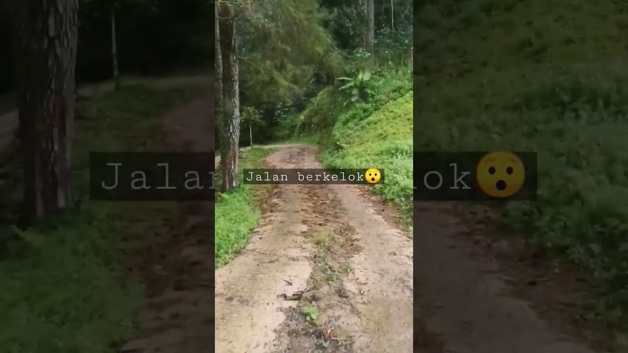 Jalan berkelok😯#jalan #jalanhidup #jalanjalan